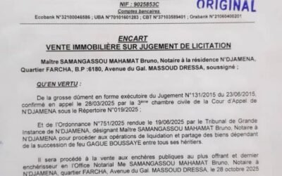 VENTE IMMOBILIÈRE SUR JUGEMENT DE LICITATION À N&rsquo;DJAMENA