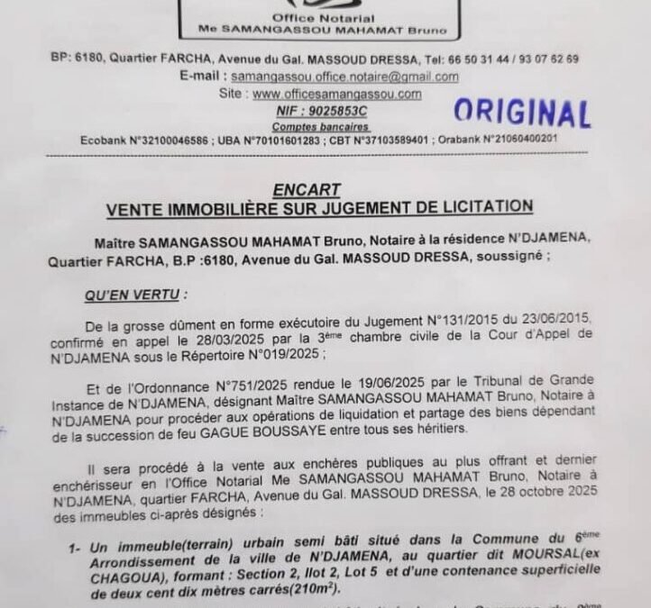 VENTE IMMOBILIÈRE SUR JUGEMENT DE LICITATION À N&rsquo;DJAMENA